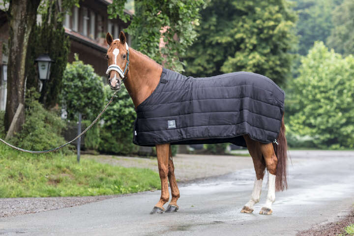 KANTRIE Thermo-Unterdecke 100 g